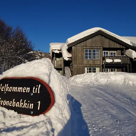 Cozy 3 Bedroom, Terrace, Pets Welcome * Beitostolen