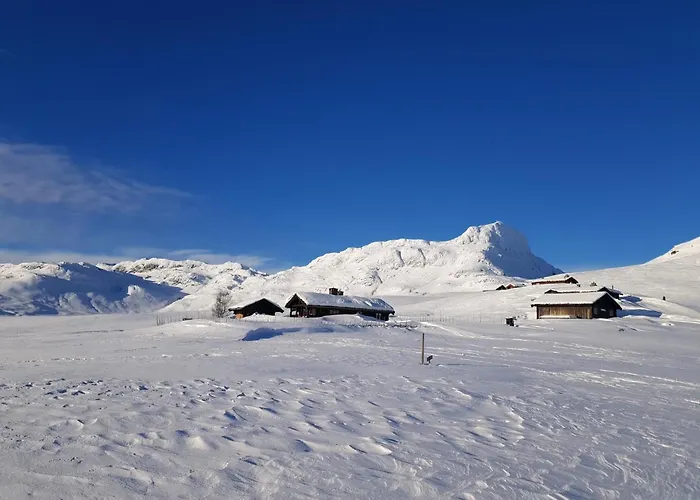 Cozy 3 Bedroom, Terrace, Pets Welcome Apartmán