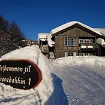Cozy 3 Bedroom, Terrace, Pets Welcome Beitostolen